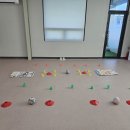 개와 집사의 시간 이미지