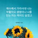 [요11:25-26] 예수께서 이르시되 나는 부활이요 생명이니 나를 믿는 자는 죽어도 살겠고 이미지