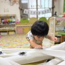 🕷️🕸️ 거미 왕국으로 변신한 우리 교실!🕷️🕸️ 이미지