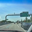 2024 봉황대뮤직스퀘어 | 경주 봉황대 뮤직 스퀘어 송골매 구창모 '비상' 콘서트 덕질 후기 (ft.퇴근길)