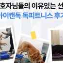 아이캔독 네이버블로그