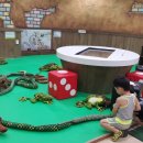 함평양서파충류생태공원 이미지