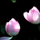 죽동체육공원 이미지