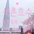 다누림센터 내 행사장 일원 | 🌸석촌호수🌸 벚꽃축제 시작 전 다녀온 후기: 개화 상태, 유모차 및 아기띠, 식사 장소 추천