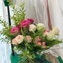 와이에스팜 이미지