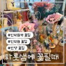 하롯샘에꽃필때