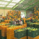 풍기농업협동조합 이미지