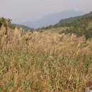 동아대학교 승학캠퍼스 이미지