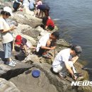 유포어촌체험마을 이미지