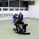 청주체육관 | 청주 주짓수 추천, 분평 써밋주짓수 신규 체육관 방문 후기 🥋