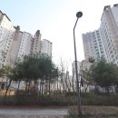 도담동_도램1901동앞 네이버블로그