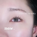 언니래쉬