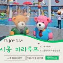 시흥 수영장 파라루프 파라다이브 가성비 인피니트풀 미온수 예약 주차