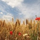 평촌동양그라테아 이미지