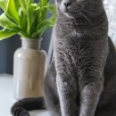 초단편 소설쓰기 이미지