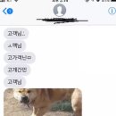 피식 이미지