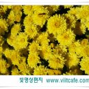 2013.10.24 사단법인 빛명상 & 경산 청천초등학교 MOU 체결 소식 이미지