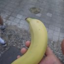 명가왕족발삼척점 이미지