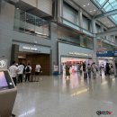 (야간)와인 클래스 : 신대륙편 | 인천공항 1여객터미널 아시아나 라운지 이용후기(이코노미 스마티움)