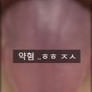 해선언니네