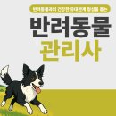 반려견,반려묘를 위한 반려동물관리사 | 반려동물관리사 자격증 취득방법 노하우 알아보기