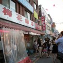 매화반점 이미지