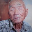 사라 Daum카페