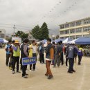 산호초등학교 이미지