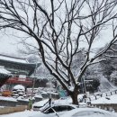 군산반야유치원 이미지
