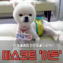 이든 동물의료센터 이미지