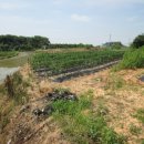 황등면-05 이미지