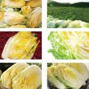 영월축산 이미지