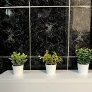 대웅돈유전자1 | 에어비앤비 세팅 물품 추천 직접 사용한 제품 공유 별점 좋은 후기 받을 수 있는 꿀팁