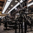 짐 코리아 이미지