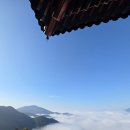 여기바다B 이미지