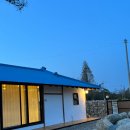 스테이 파란 이미지