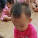 참사이언스 이미지