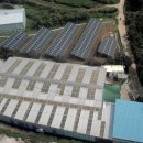 더불어1호태양광발전소 이미지