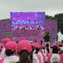 함양백연점현대자동차 | 올리브영 큐티런 산리오마라톤 분노의 후기