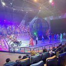 제주아트 서커스 이미지