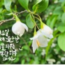 만석민박 이미지