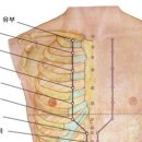 ＜건강상식＞ 신봉혈(神封穴) - 가슴 답답함, 천식, 기관지염, 기침, 늑간 신경통 이미지