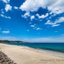 관성해수욕장 남쪽 화장실 | 경주 여행 가볼만한곳 경북 드라이브 코스 관성솔밭해변