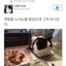 금천문 | 남영 웨이팅 맛집 금천문 오향족발 후기