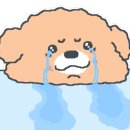 푸른숲동물병원 이미지