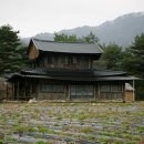 삼둔사가리 이미지