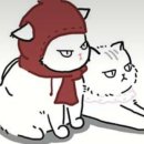 셀라미용실 이미지