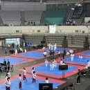 서울 은평 태권도 이미지