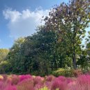 억새풀농장 이미지