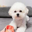 슬립워크 이미지